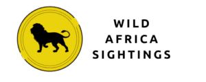 Wild Africa Sightings Logo