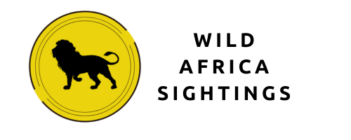 Wild Africa Sightings Logo