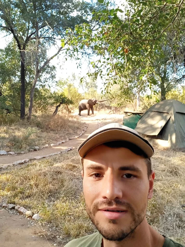 Elephant walking through a campsite in Karongwe Private Game Reserve.