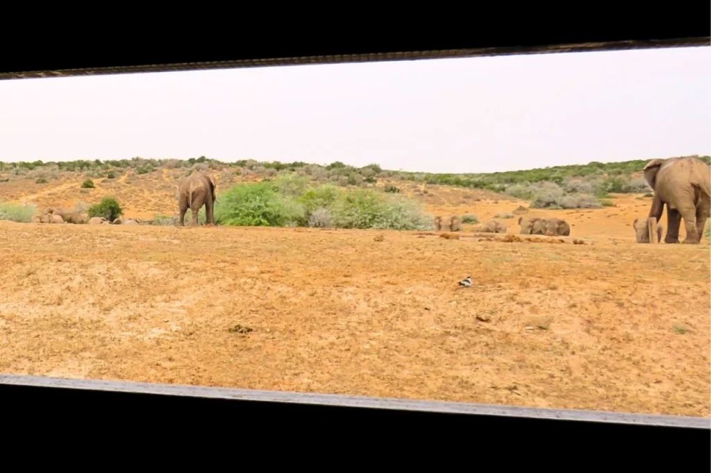The Hide birdwatching and wildlife observation spot at Main Camp, Addo Elephant National Park, South Africa